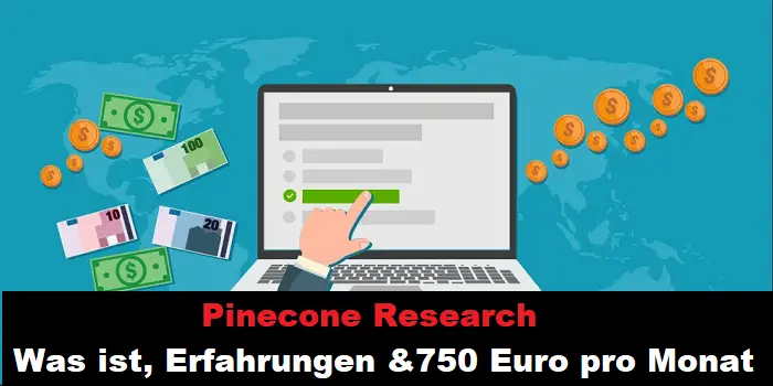 Pinecone Research erfahrung